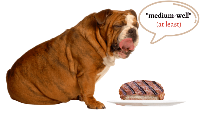can dogs eat medium rare steak