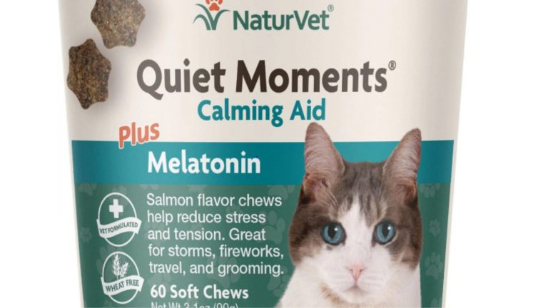 Can I give my cat melatonin