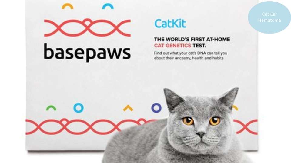 Cat Breed DNA Test 