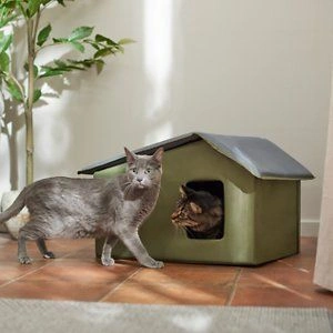  Heated Cat House