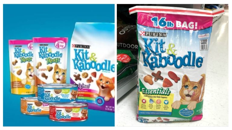 Kit and kaboodle cat food