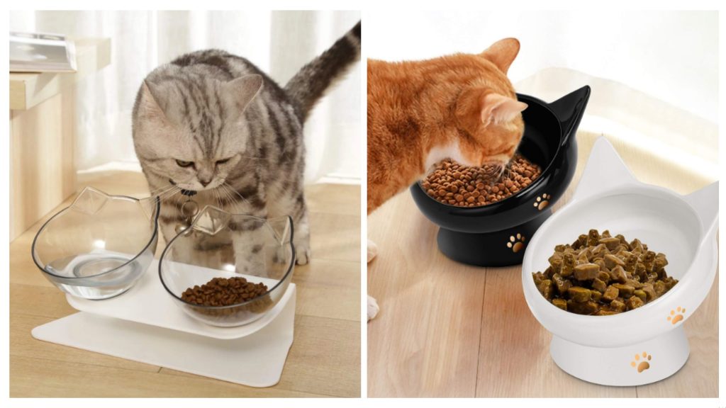 Elevate Mealtime Comfort with a Tilted Cat Bowl – Discover the Benefits