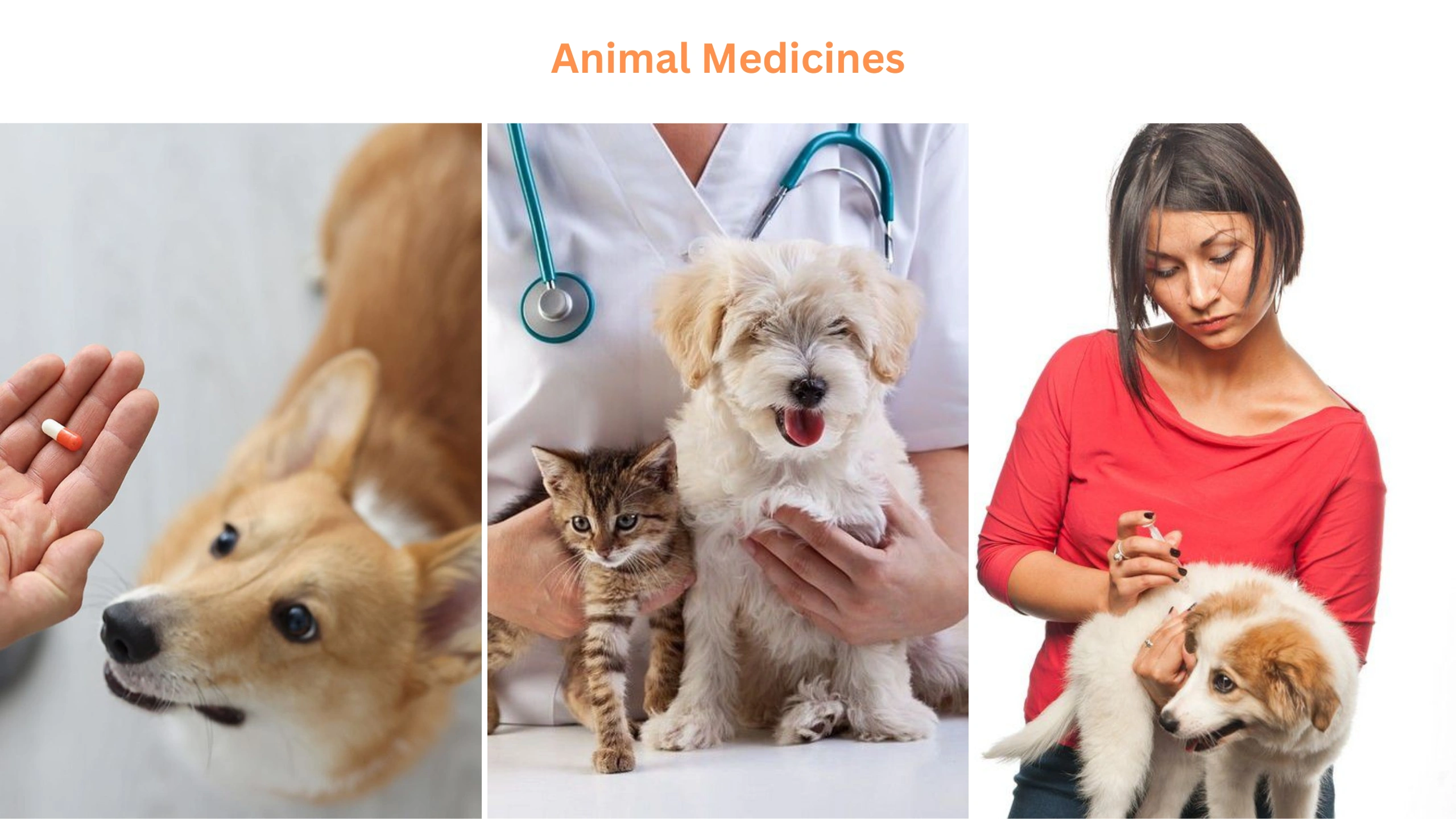 Animal medicines
