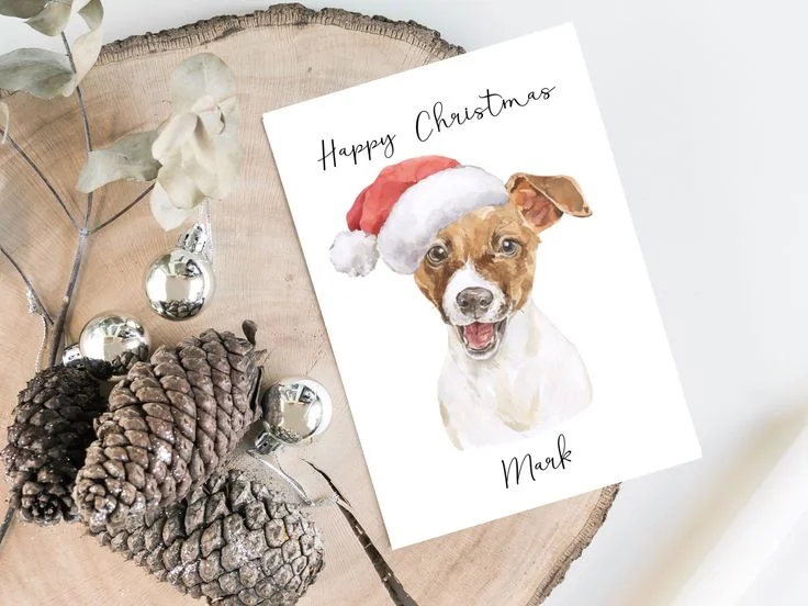 Best Christmas gifts for dogs