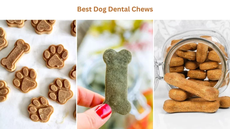 Best dog dental chews