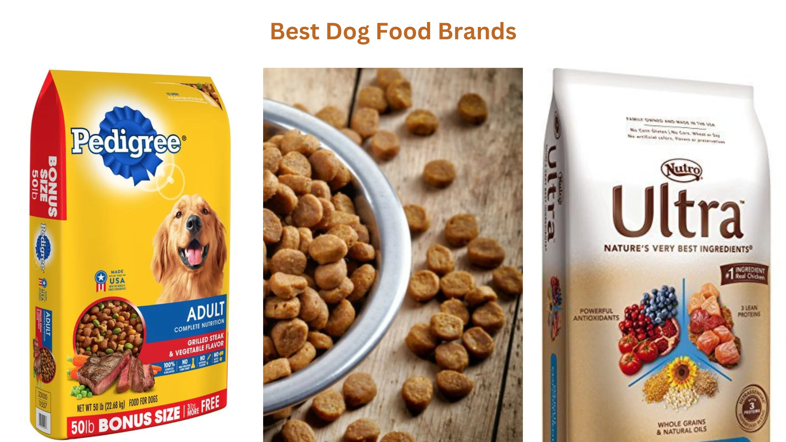 Best dog food brands