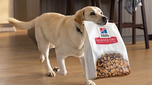Best dog food for sensitive stomach
