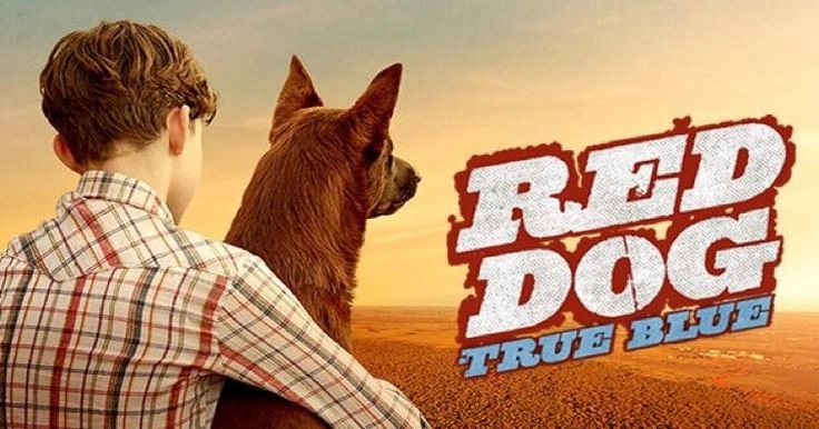 Best dog movies 