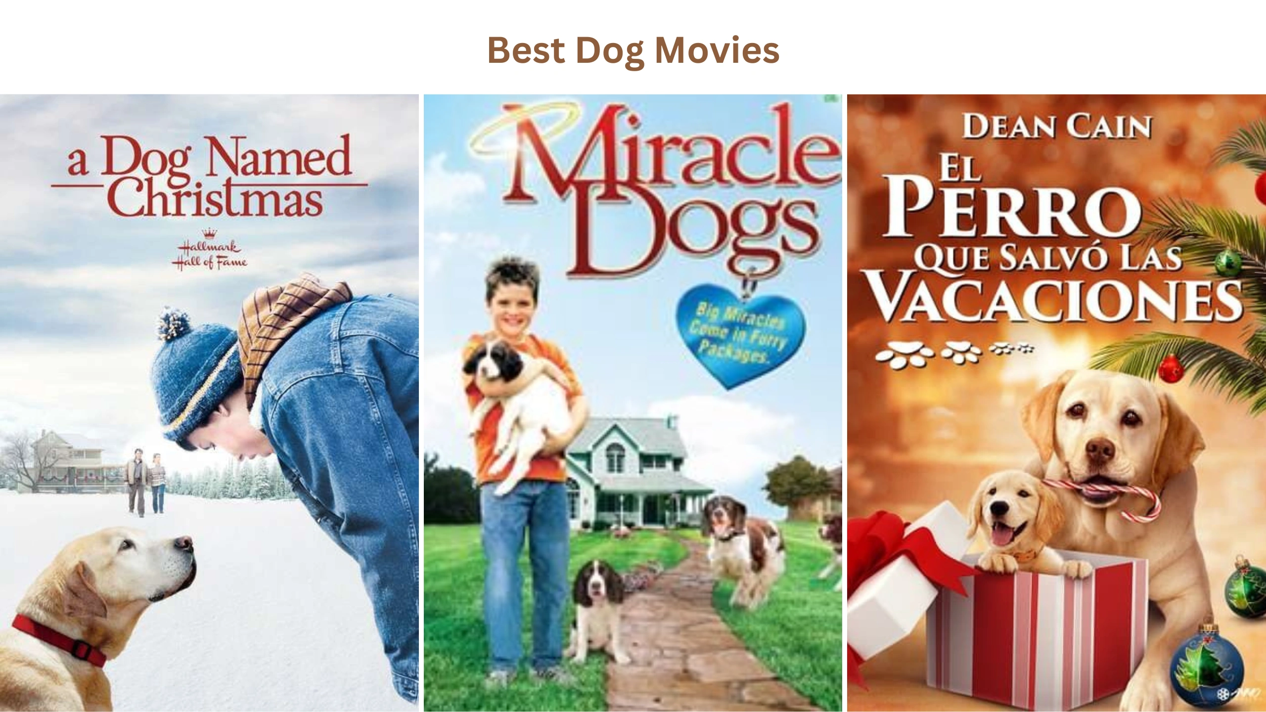 Best dog movies