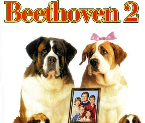 Best dog movies
