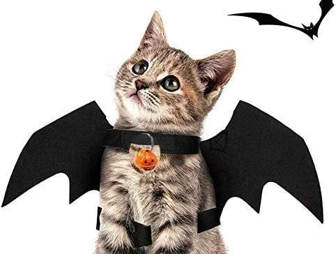 Cat Halloween costumes