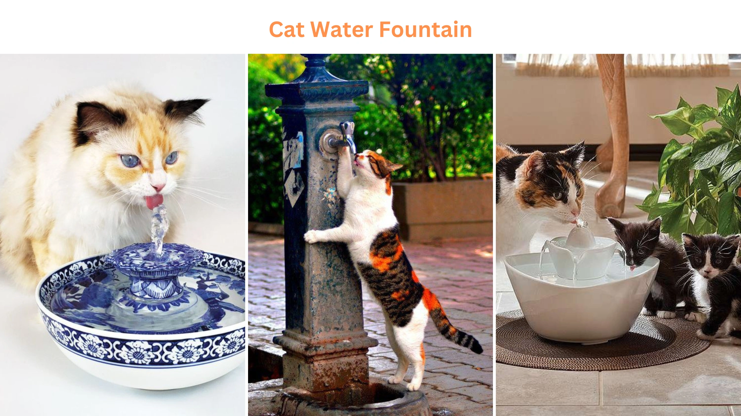 Cat water fountain
