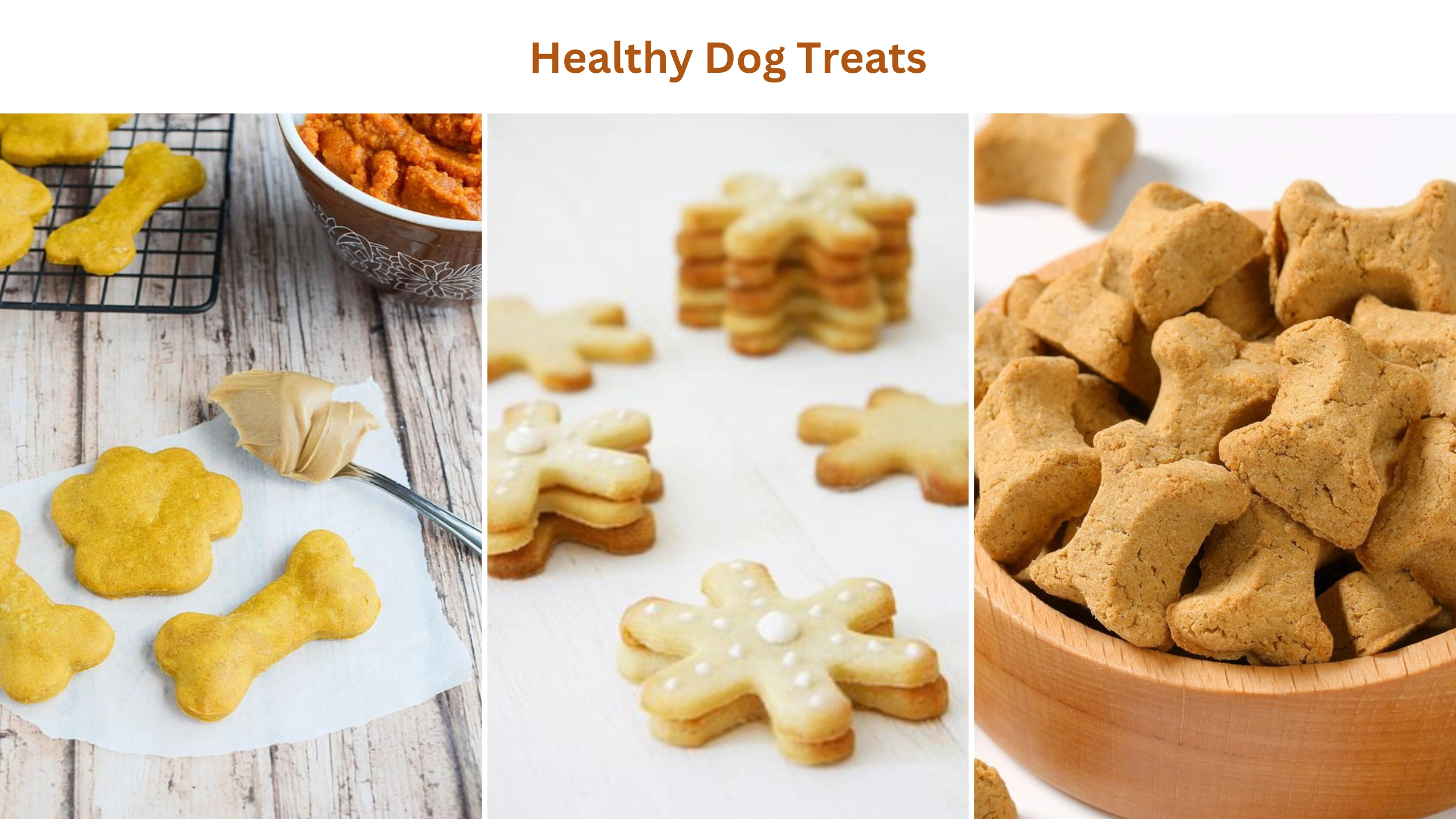 Healthy dog treats