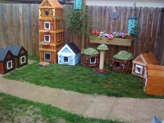 Outdoor cat houses 