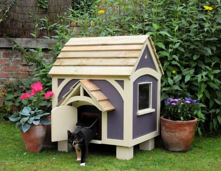 Outdoor cat houses 