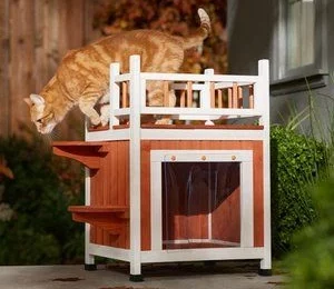 Outdoor cat houses