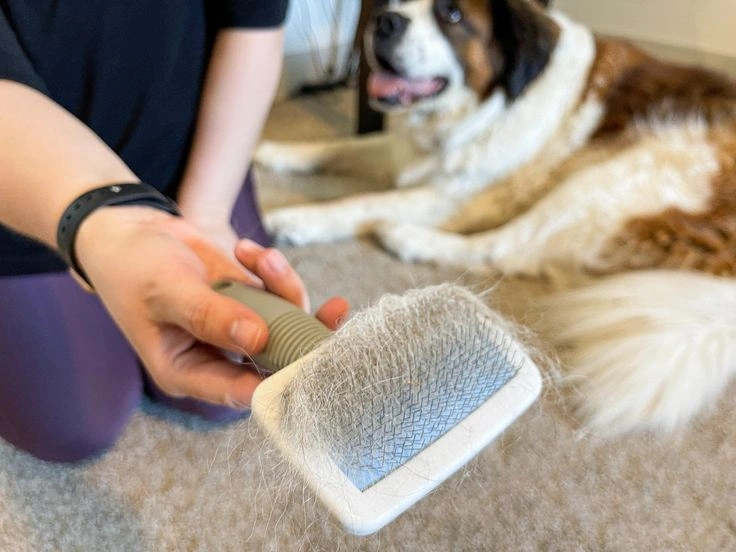 Pet hair removers 