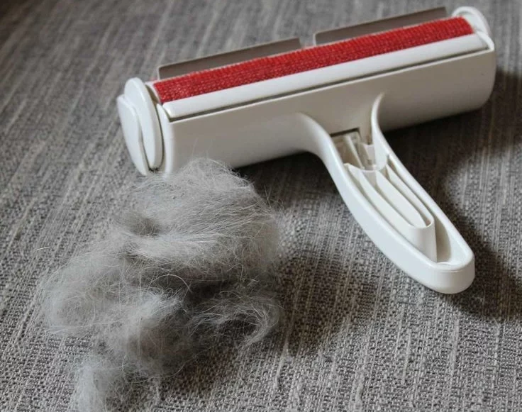 Pet hair remover