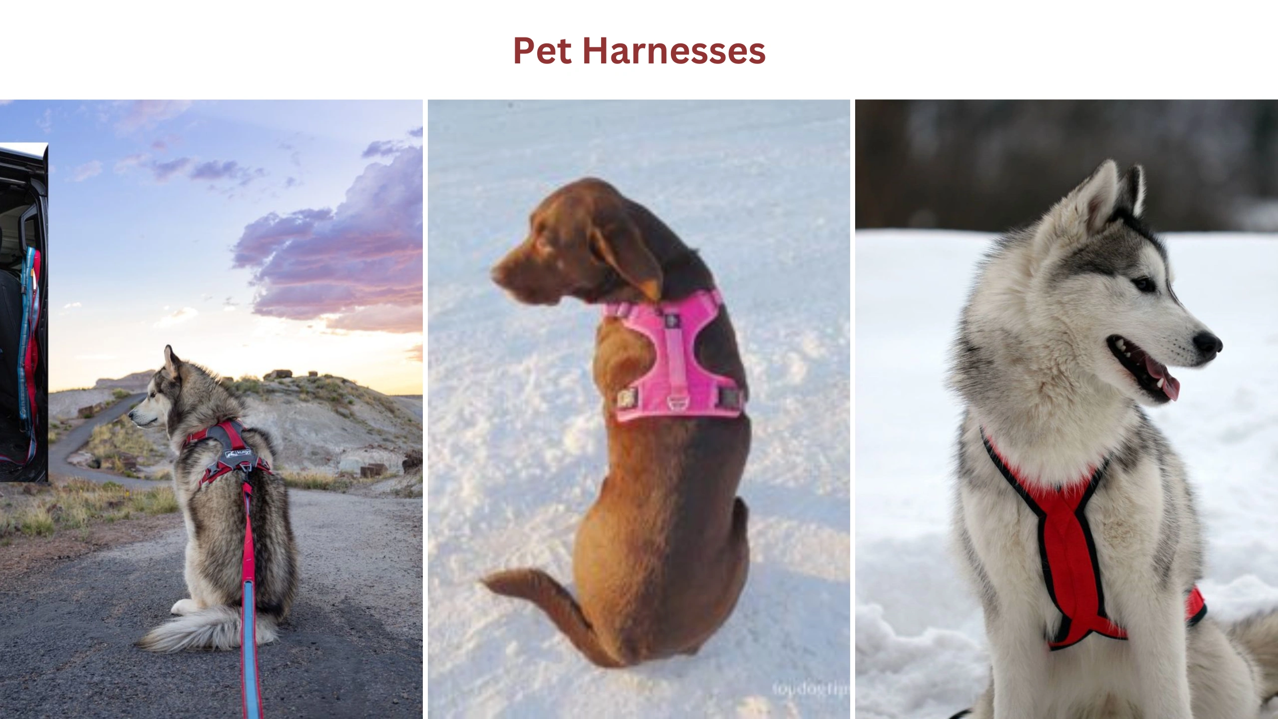 Pet harnesses
