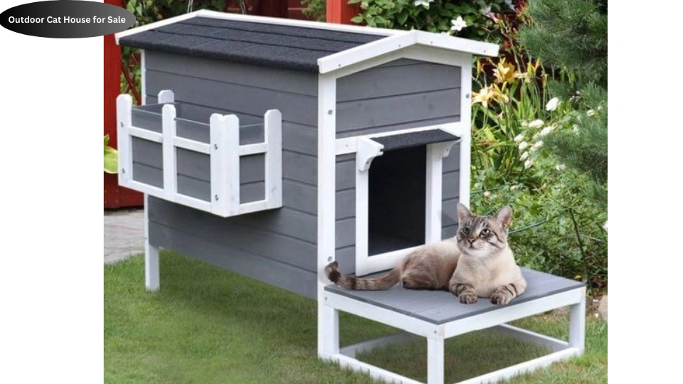 Outdoor Cat House for Sale