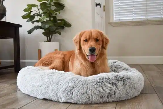 Anti anxiety dog bed