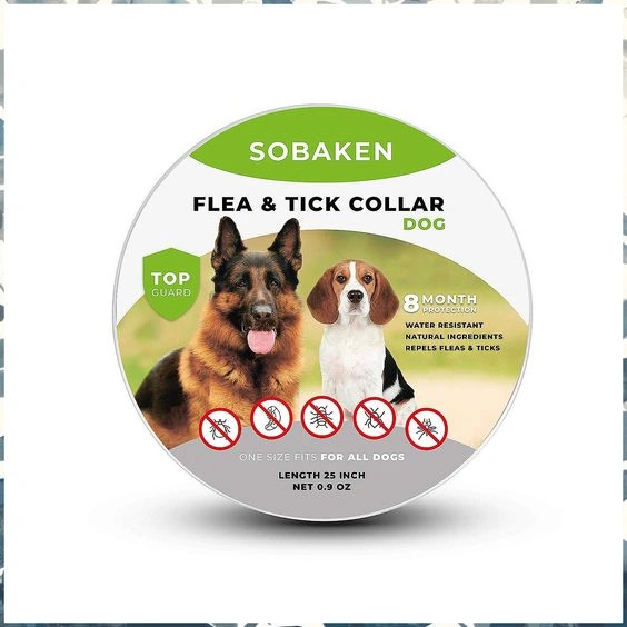 Best Flea Collars for Dogs