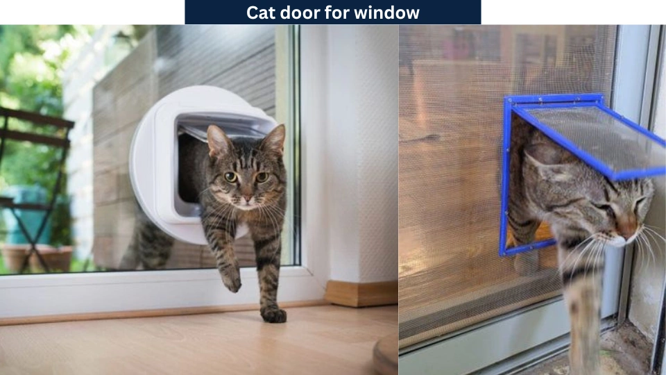 Cat door for window