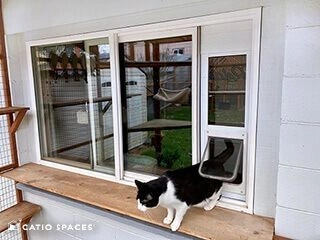 Cat door for window
