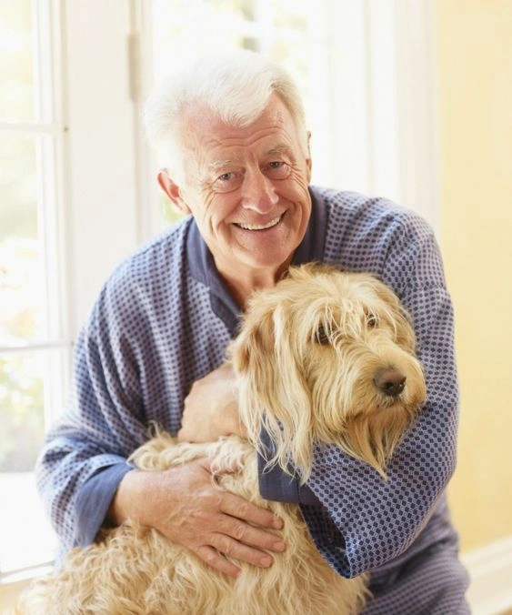 Best Pets For Seniors