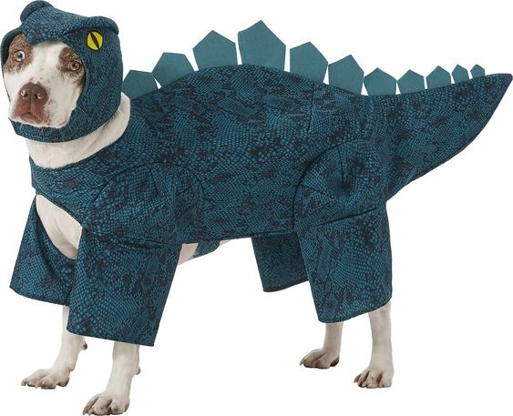 Dog Halloween costumes
