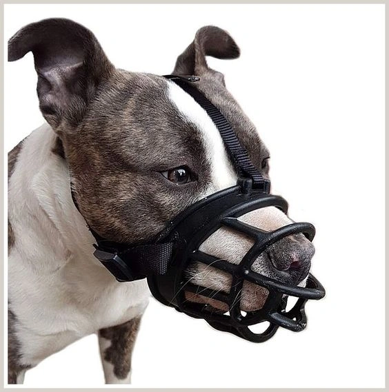 Muzzle for Dogs