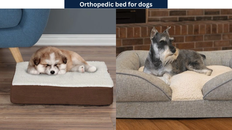 Orthopedic bed for dogs